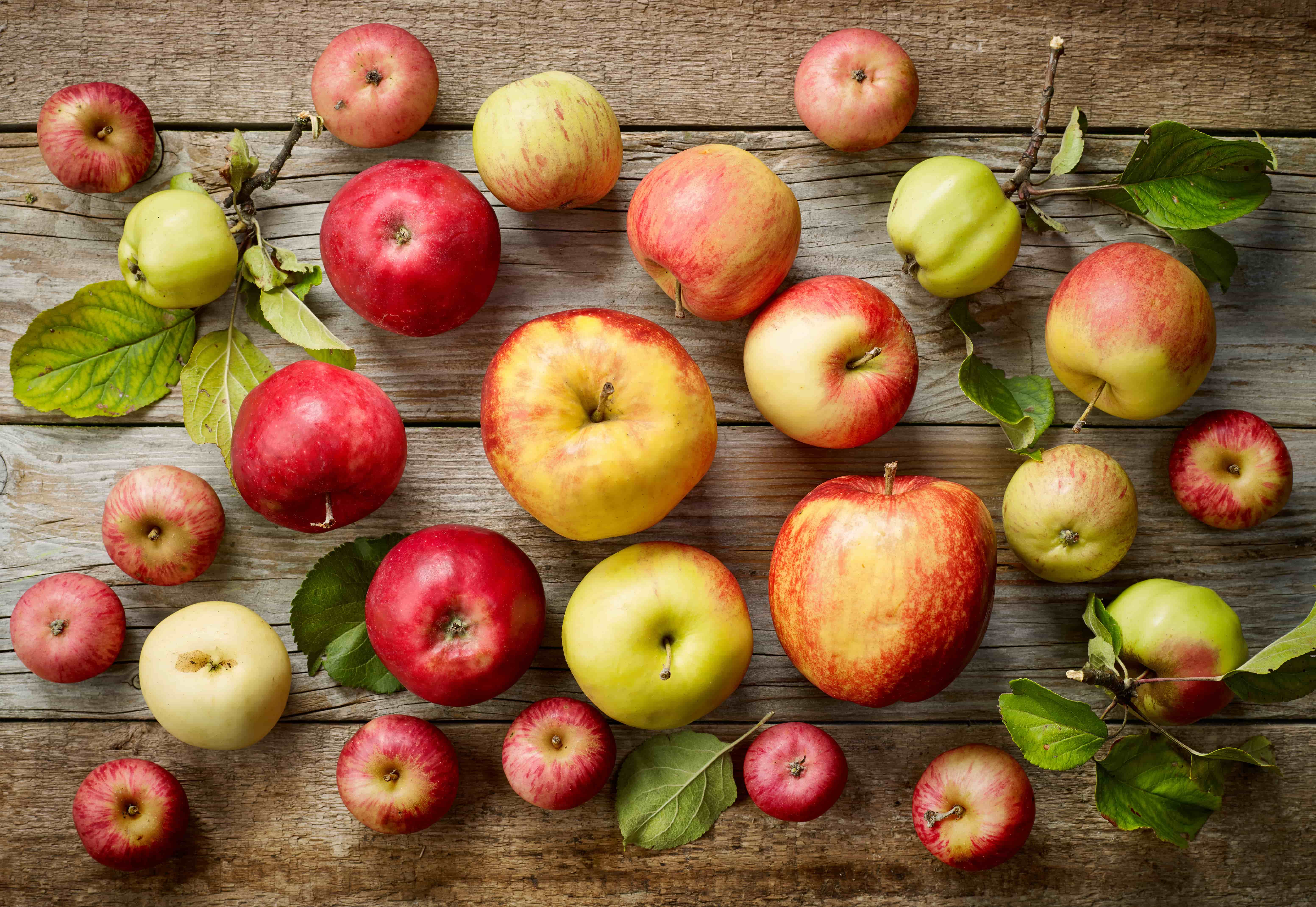 Apples, a source of malic acid