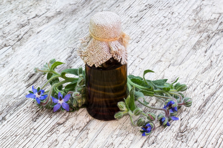 Borage oil