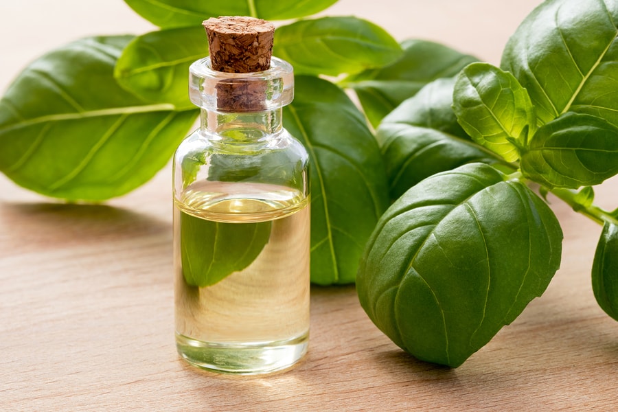 Basil Oil