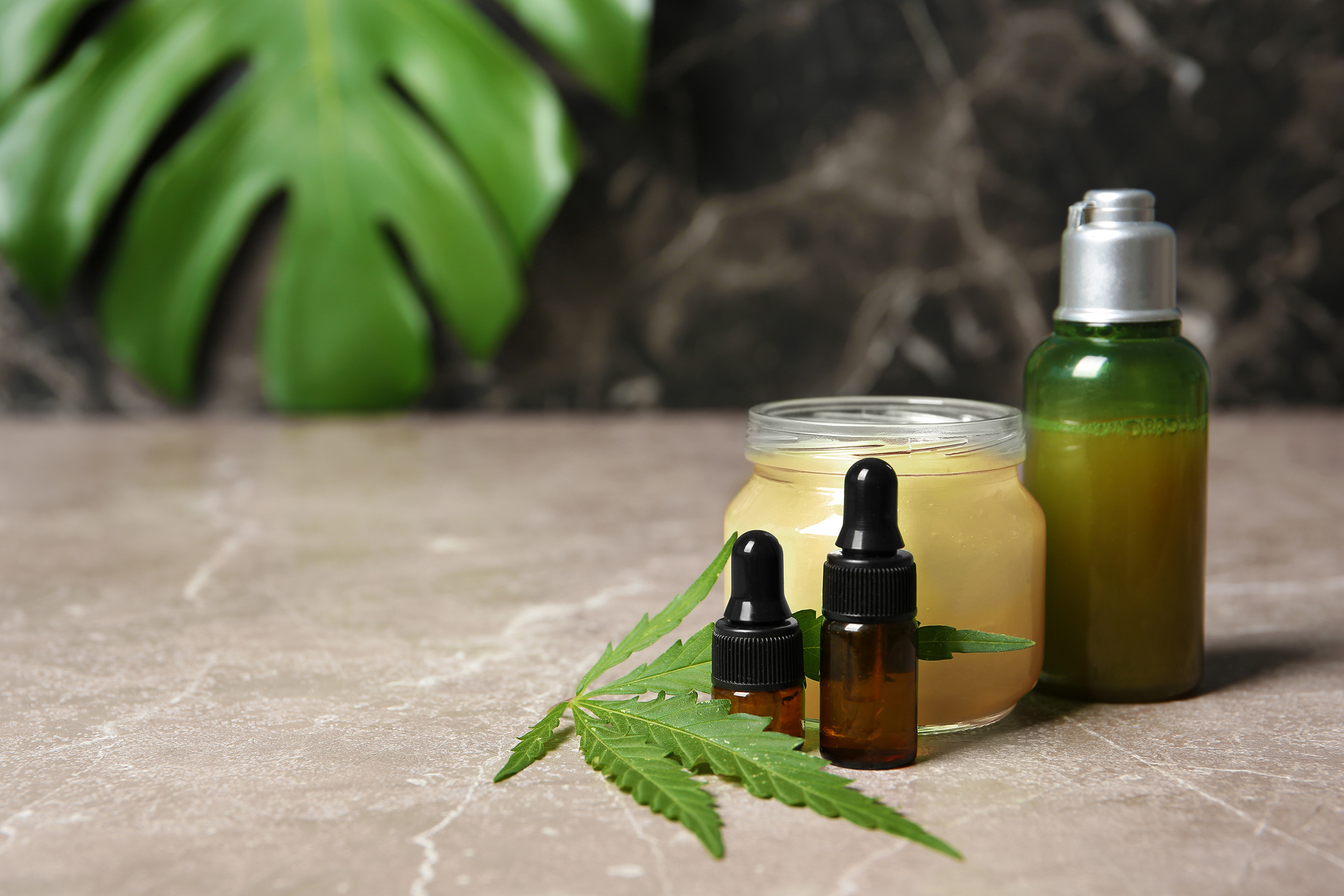 CBD Oil