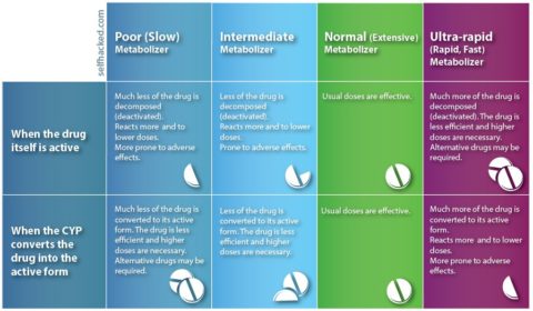 CYP_metabolizers