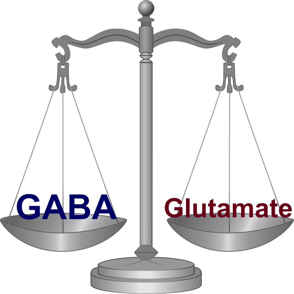 GABA glutamate balance