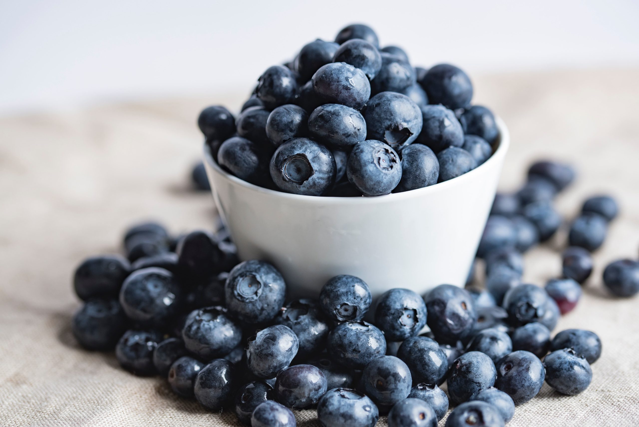 Blueberries are lower in anthocyanin antioxidants than bilberries