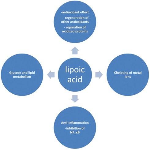 Health Benefits of Alpha Lipoic Acid