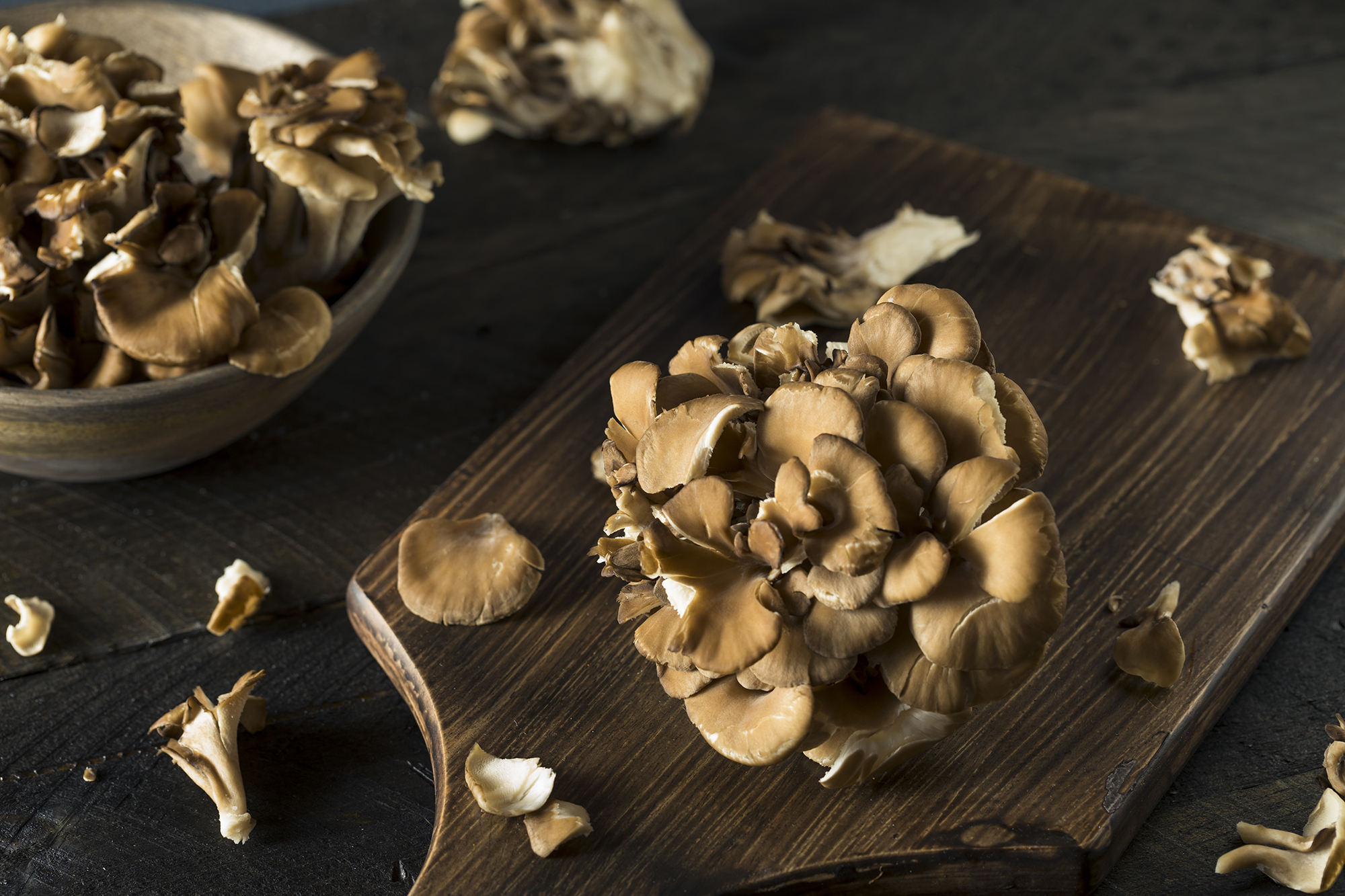 Maitake-Mushrooms