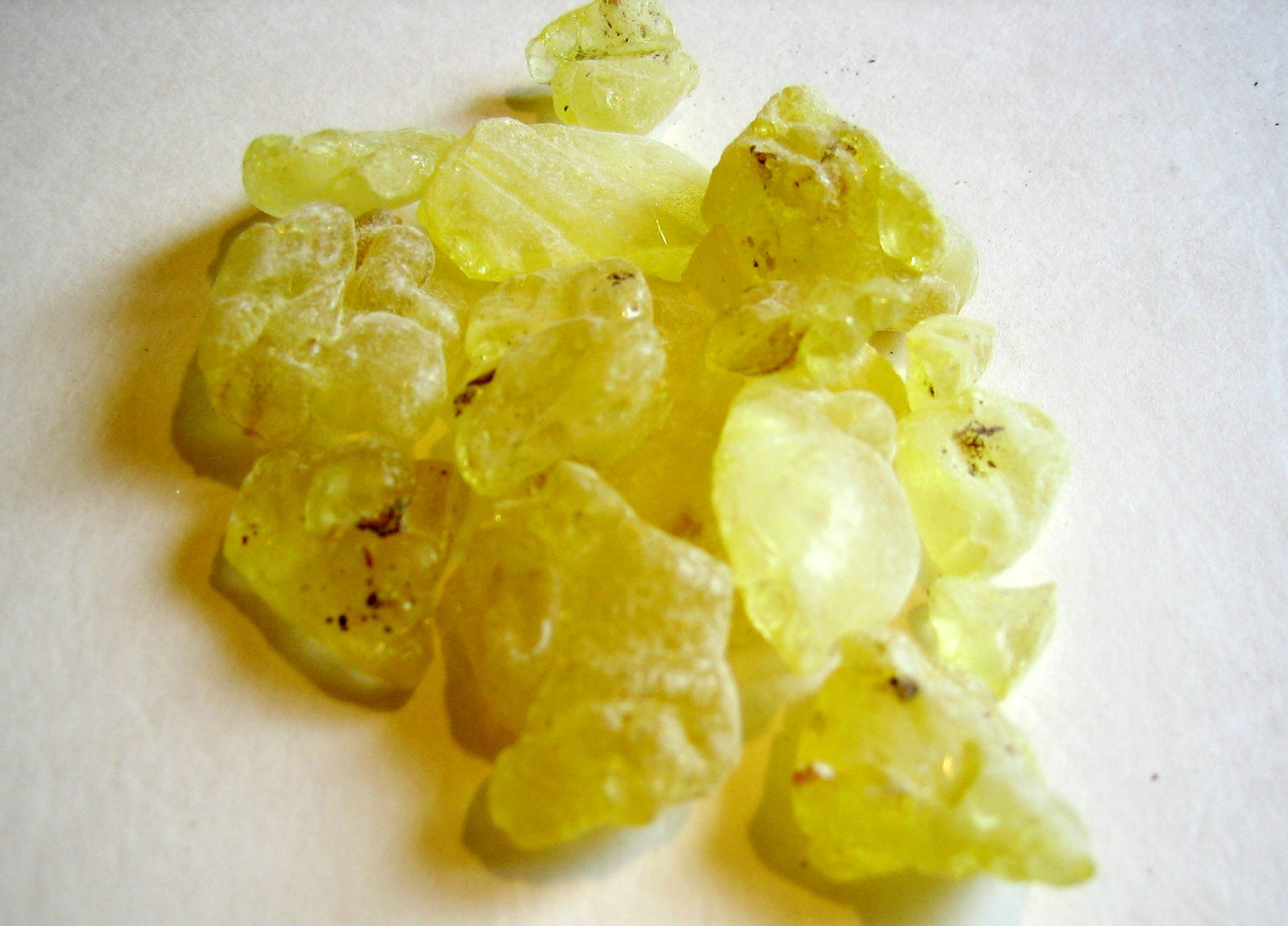 Mastic gum