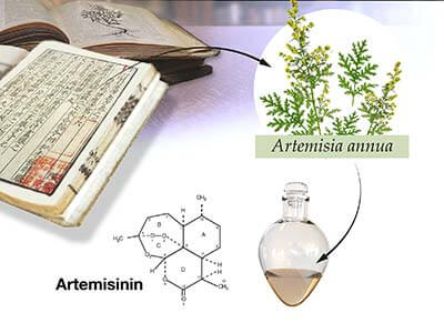 Health Effects of Artemisinin