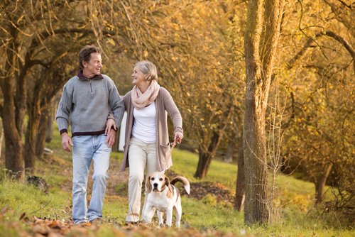 Couple walking a dog L. acidophilus