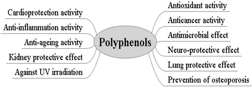 Apple Polyphenols